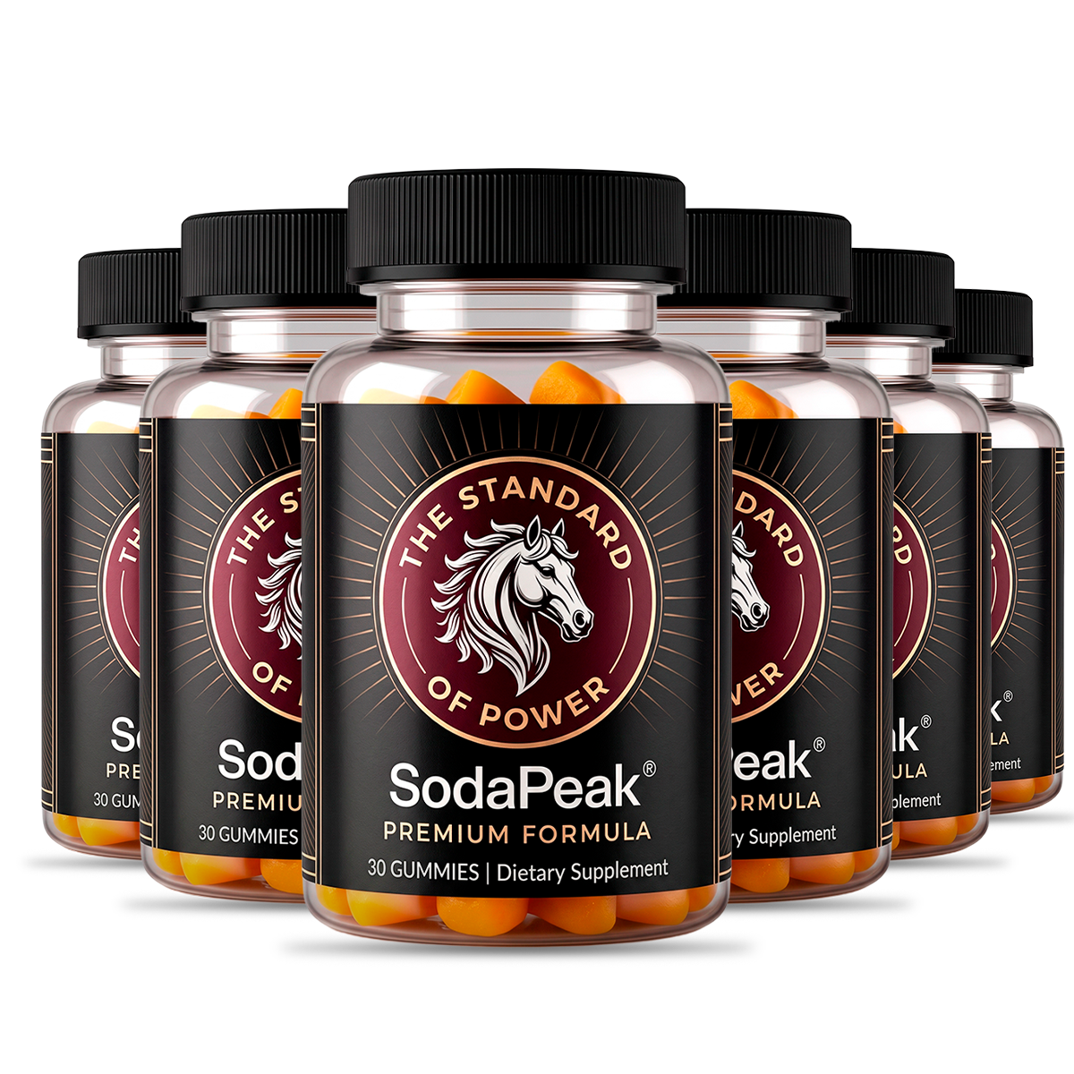 Sodapeak multi bottle bundle
